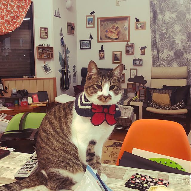jijiさんの実例写真