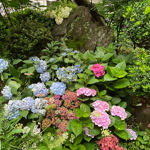 mさんの部屋