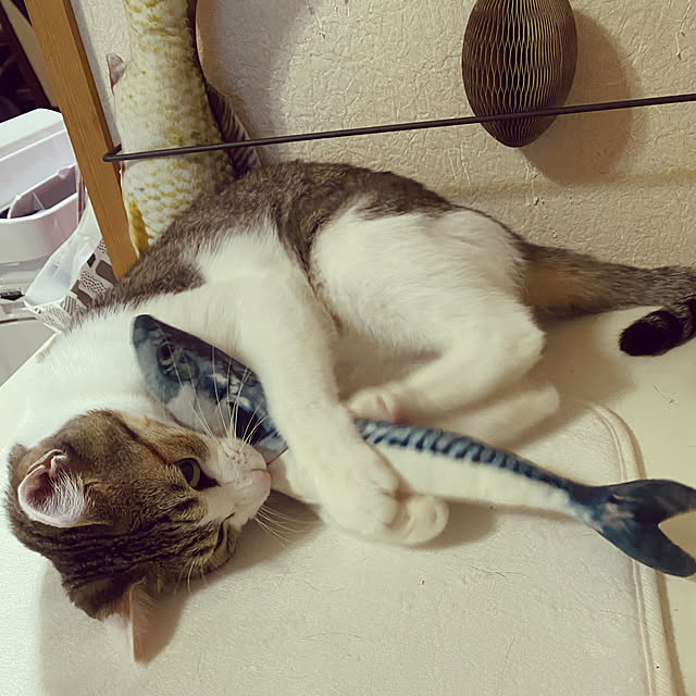 Lufuさんの実例写真