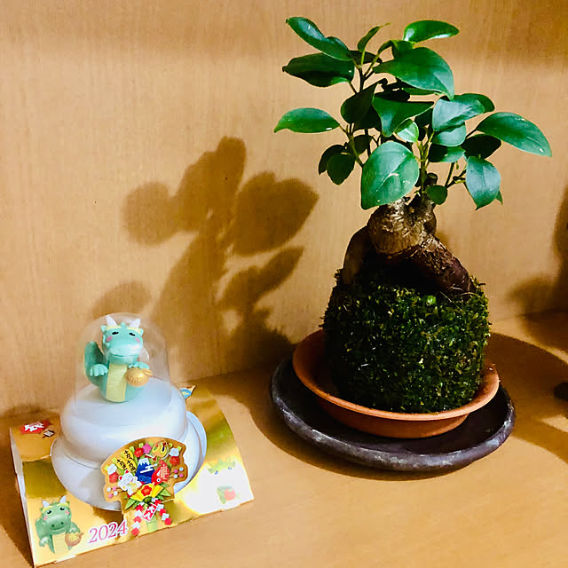 hanachanさんの部屋