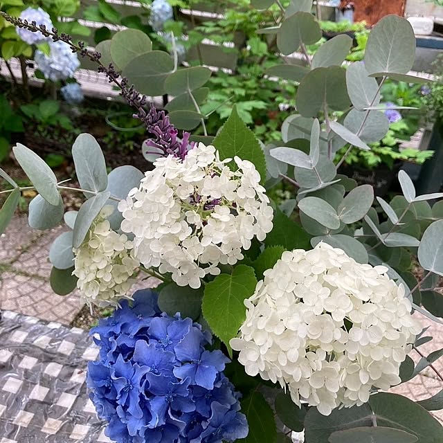 min_nimさんの部屋