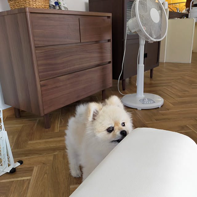 poroさんの実例写真