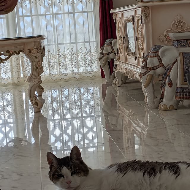 machikomamaさんの部屋