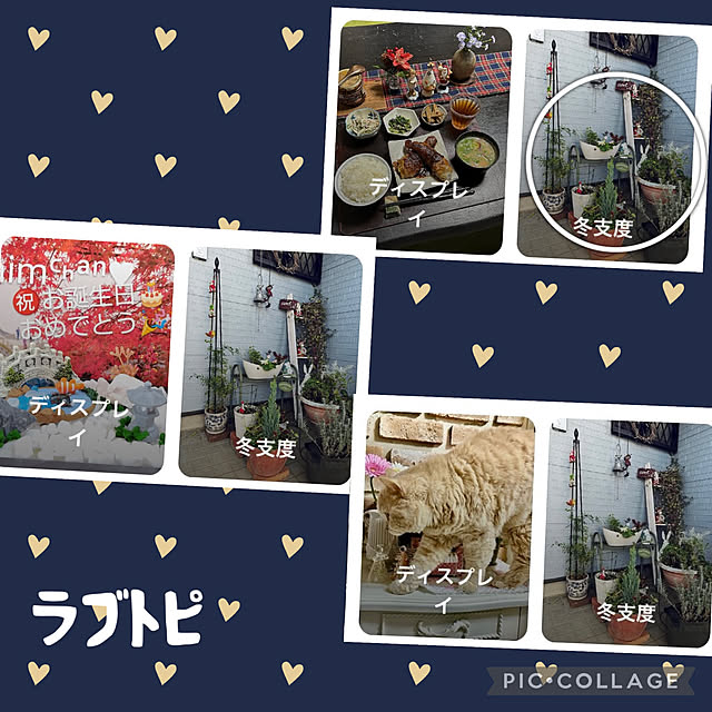 CoCo0617さんの実例写真