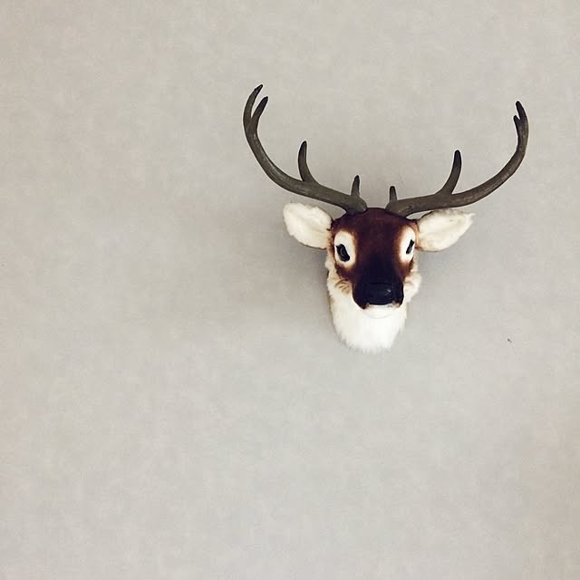 siiiisiiiiiiさんの実例写真