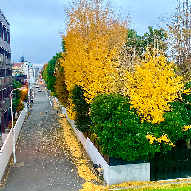 tututu0204さんの部屋