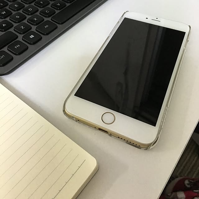 Zhixinさんの実例写真