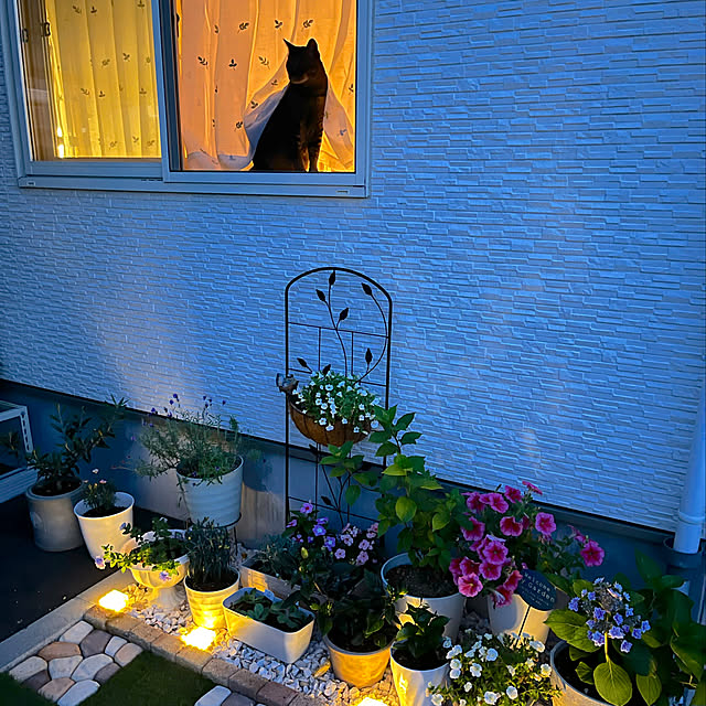 RAKI_Homeさんの実例写真