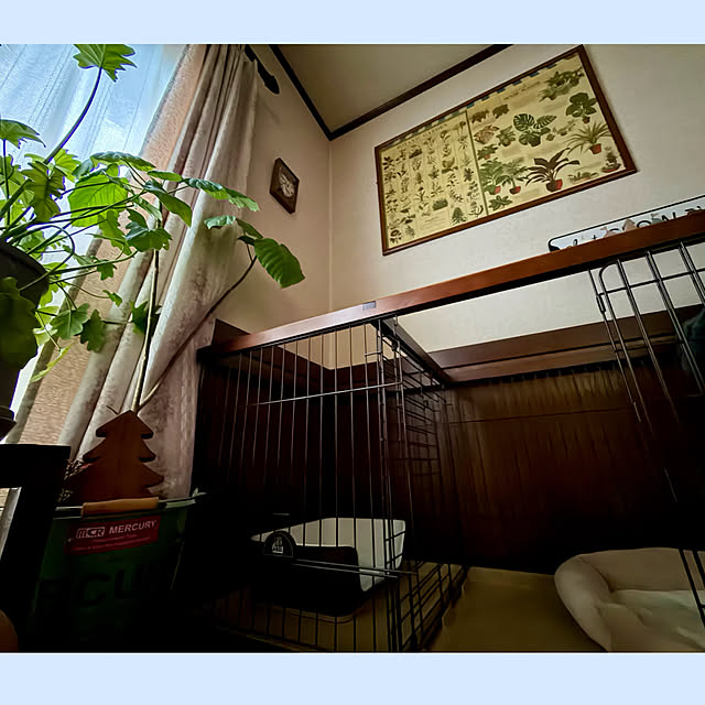 cotaさんの部屋
