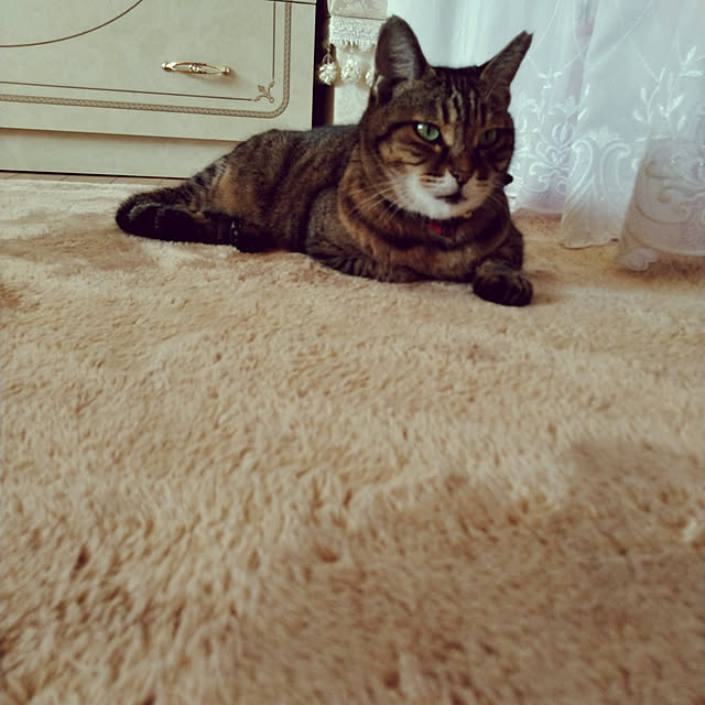 lilyさんの実例写真