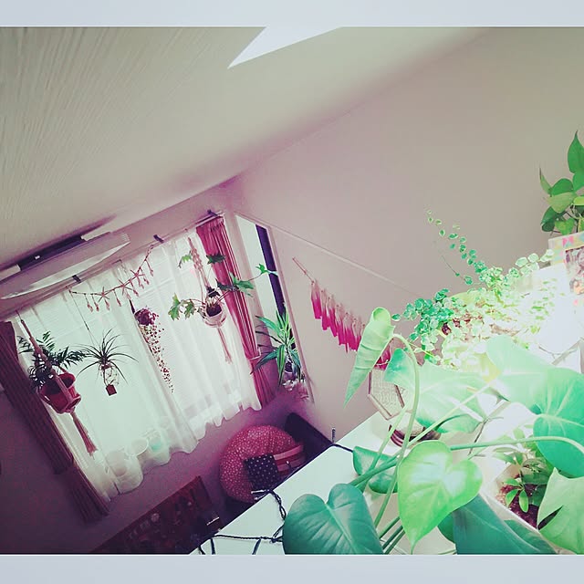ayumi_jun21.017858さんの実例写真