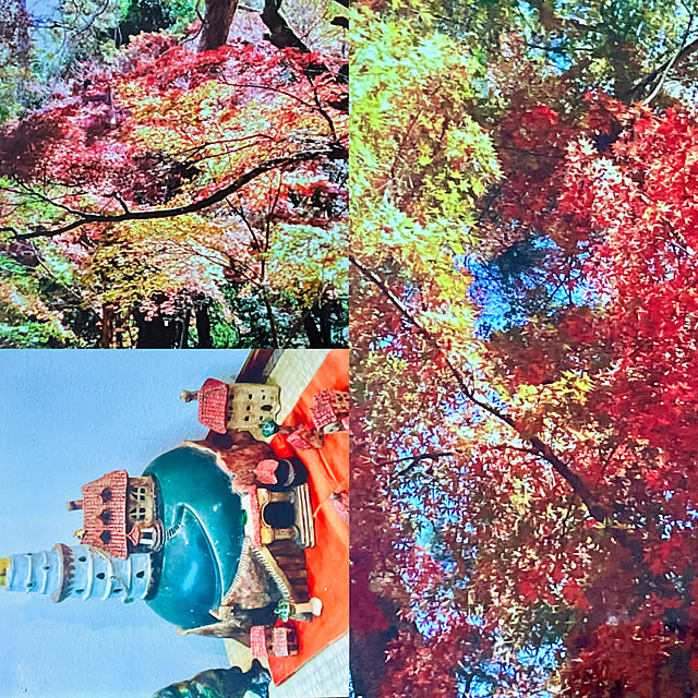 実例写真