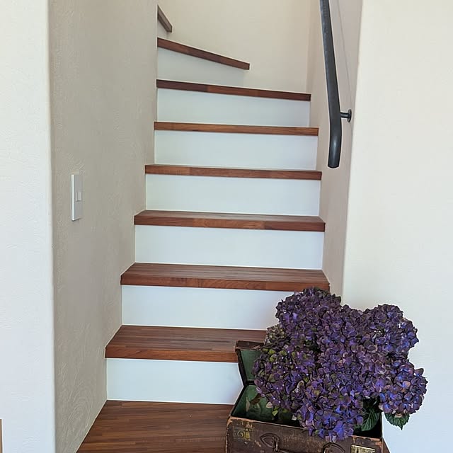 nolleyさんの部屋