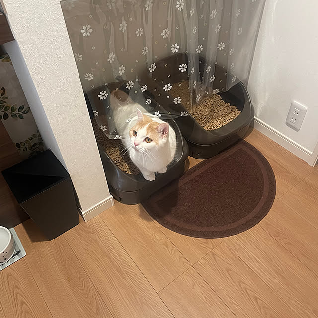 yumiさんの実例写真