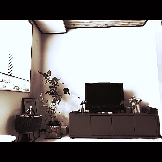 miiksさんの実例写真