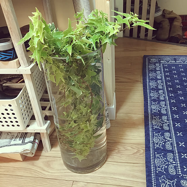 zen1108kettさんの実例写真
