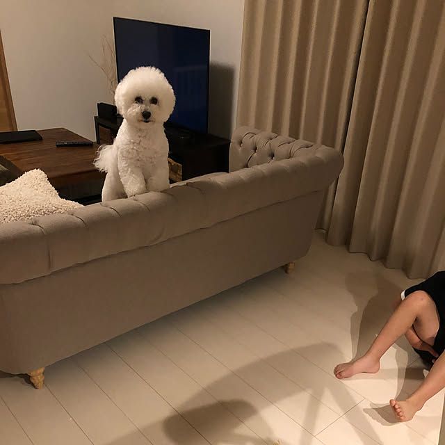 choさんの実例写真
