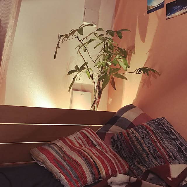 kuwaさんの実例写真