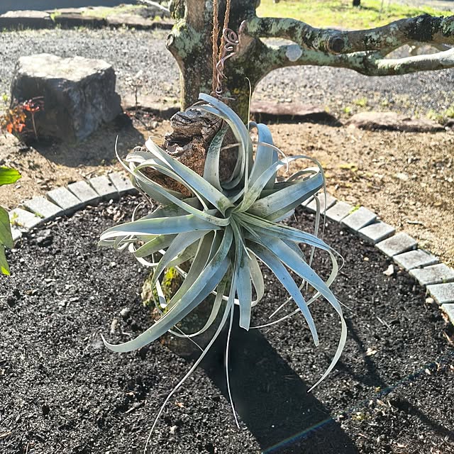 Rubiconさんの部屋