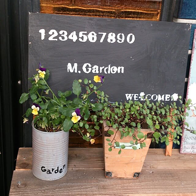玄関/入り口/DIY/植物のインテリア実例 - 2014-05-09 21:46:01