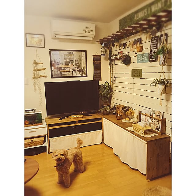 viviさんの実例写真