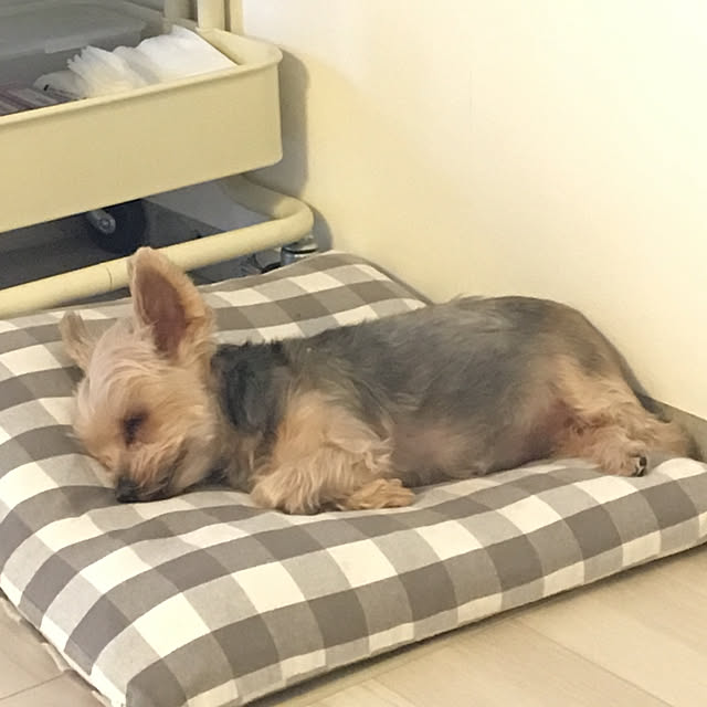 ohanaさんの実例写真
