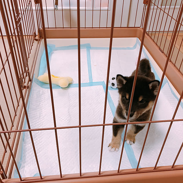 mintさんの実例写真