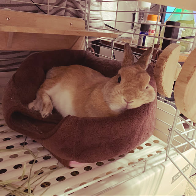 takeさんの実例写真