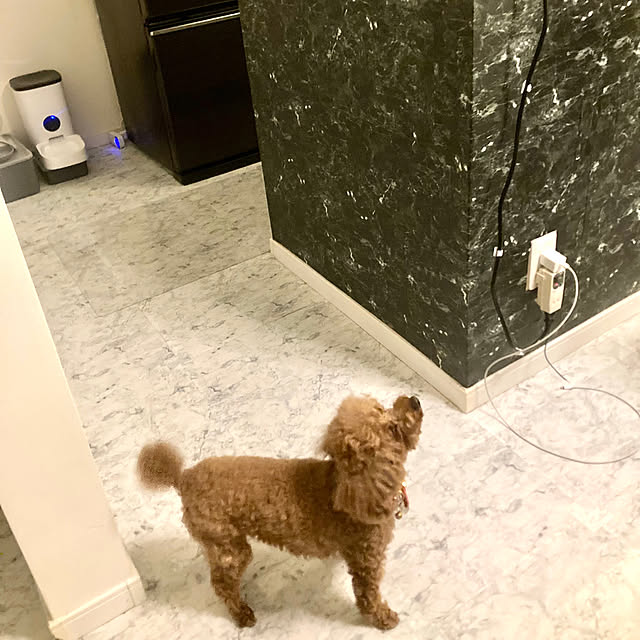 MOMOMAMAさんの部屋