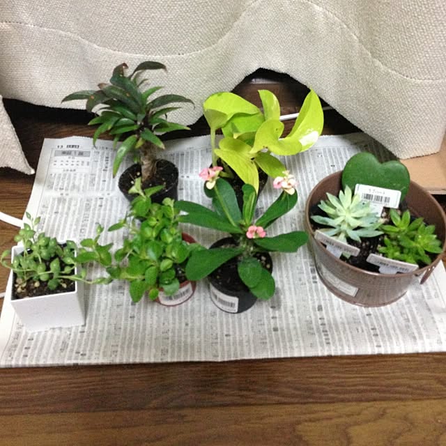 sasaさんの実例写真