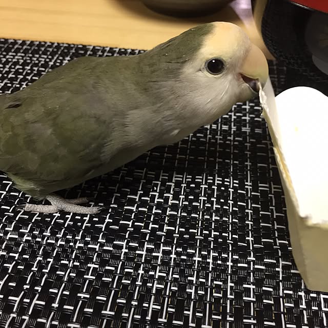 kaotanさんの実例写真