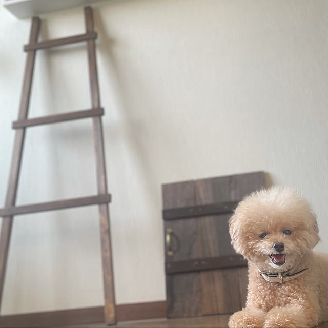 hima820さんの実例写真