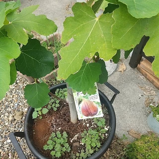 Rさんの部屋