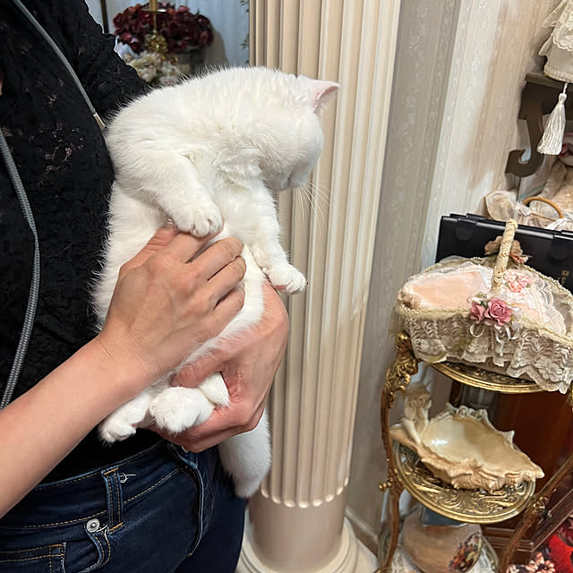 AYUKOさんの部屋