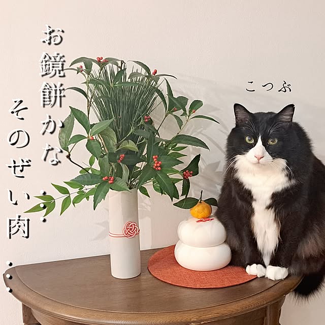 kankanmom_horn_5catsさんの実例写真