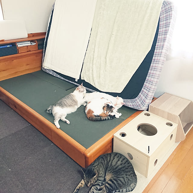 nachiさんの実例写真