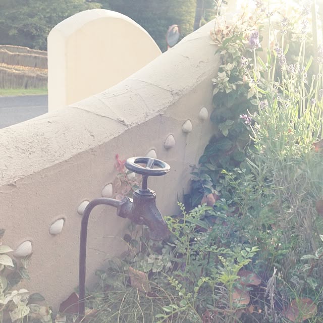 apple_rinさんの実例写真