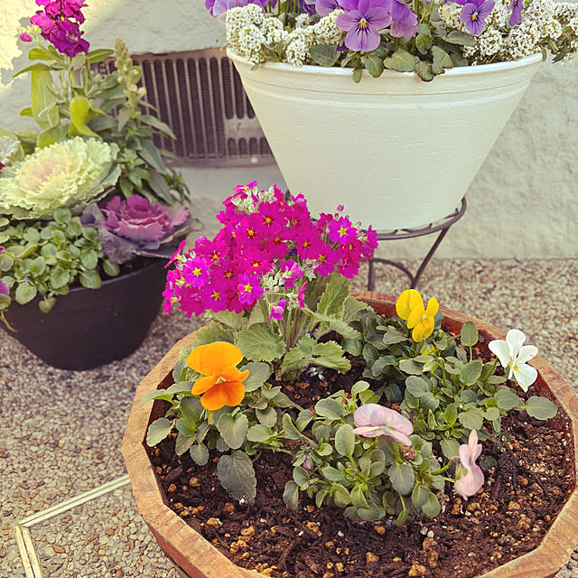 masamasaさんの実例写真