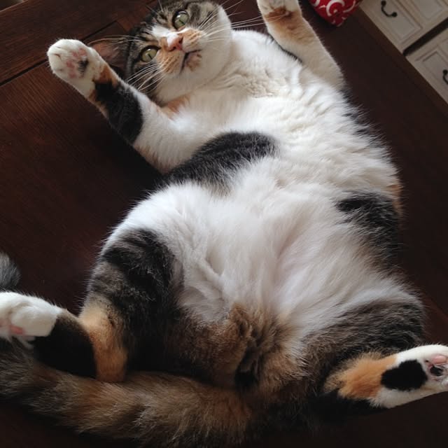 saqura_apartment101さんの実例写真