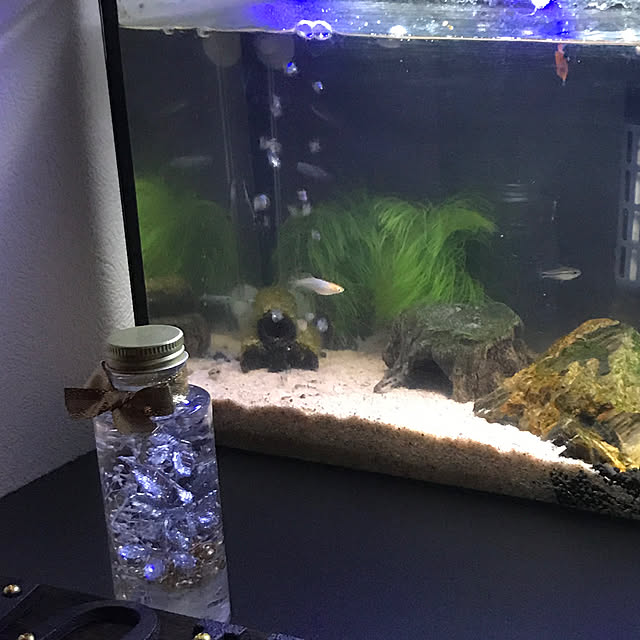 kouta_Co.さんの実例写真