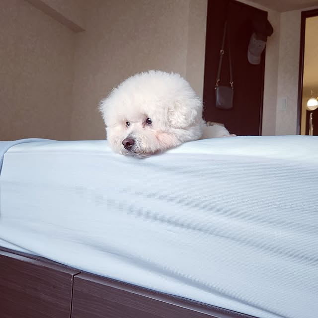 takoさんの部屋