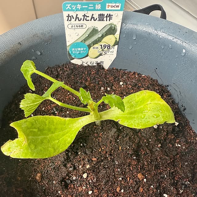 ToReTaRiさんの実例写真