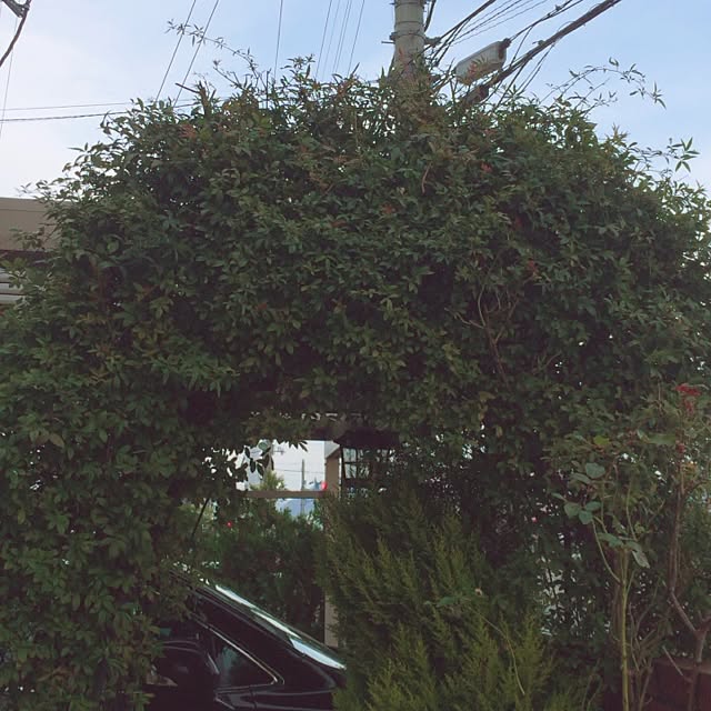 Momoさんの実例写真