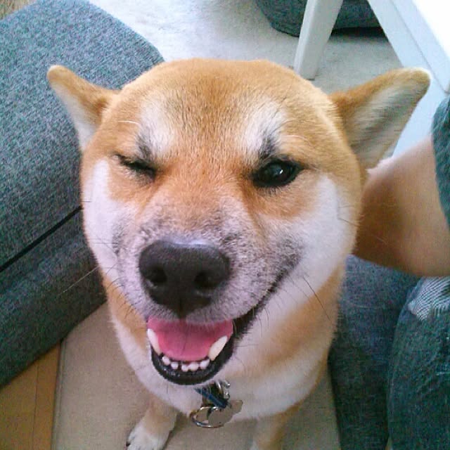 kotaさんの実例写真