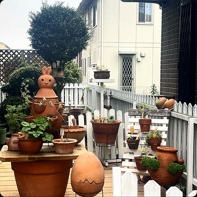 Ohigeさんのお部屋の写真