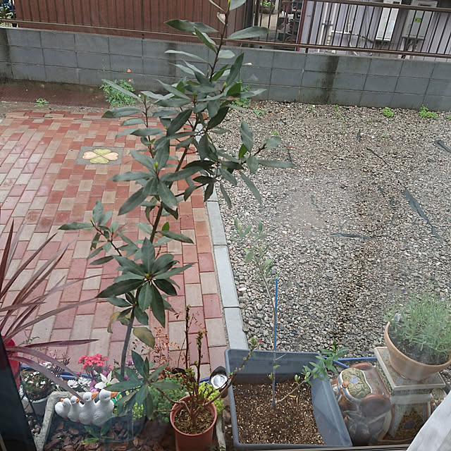 akiさんの実例写真