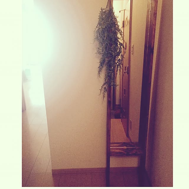 a_g903さんの実例写真
