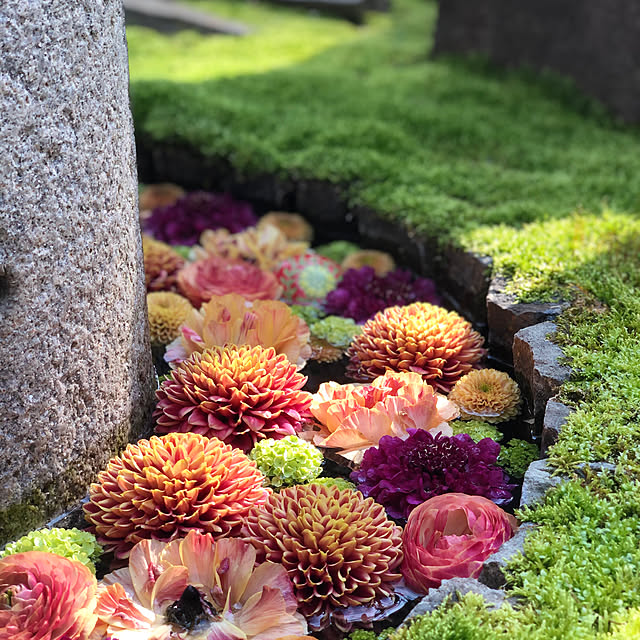 isapinさんの実例写真