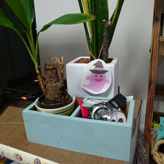 nittonさんの実例写真