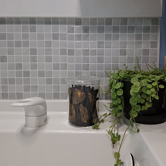 noaさんの部屋